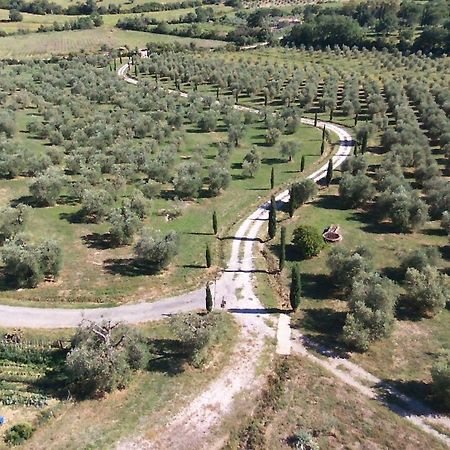 Casetta Dell'Uliveto Macchiascandona Kültér fotó