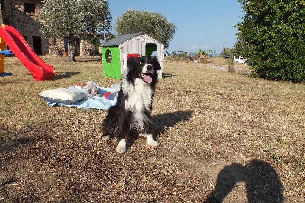 Casetta Dell'Uliveto Macchiascandona Kültér fotó