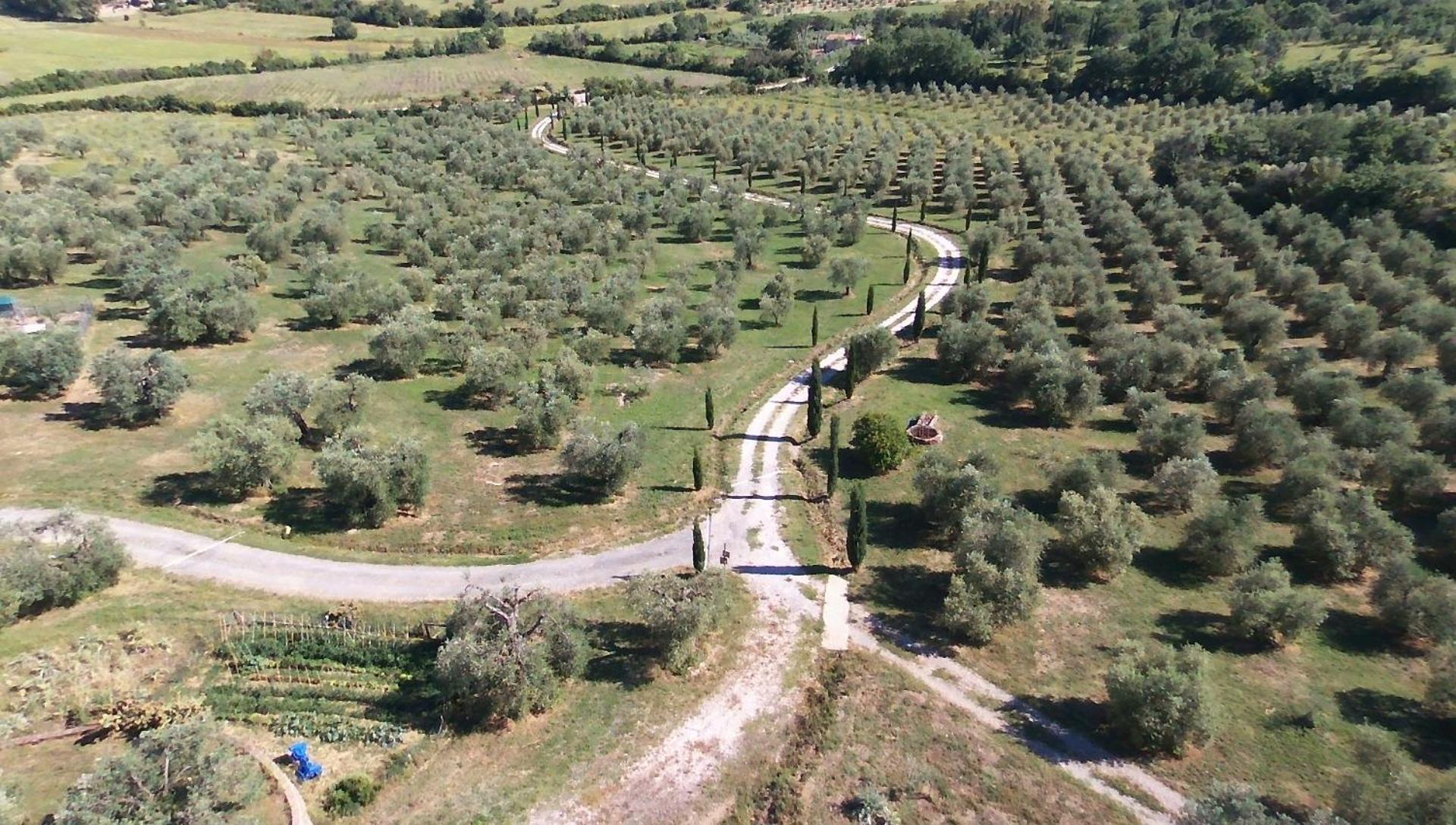Casetta Dell'Uliveto Macchiascandona Kültér fotó