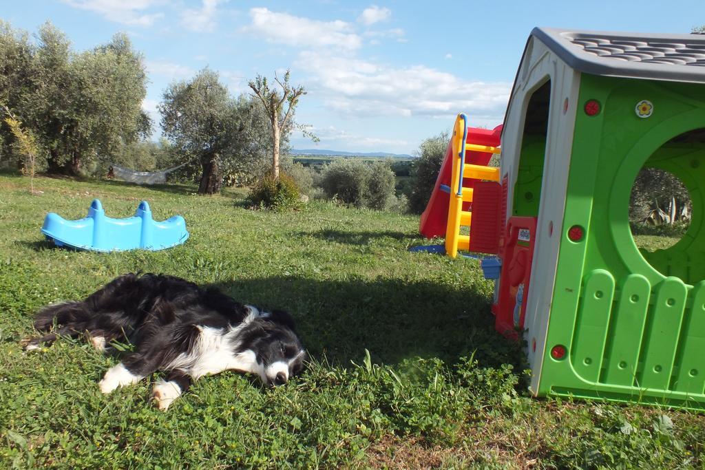 Casetta Dell'Uliveto Macchiascandona Kültér fotó